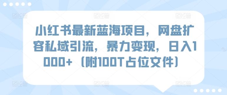 小红书最新蓝海项目,网盘扩容私域引流,暴力变现,日入1000+(附100T占位文件)-涛哥资源