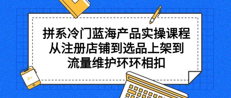 拼系冷门蓝海产品实操课程，从注册店铺到选品上架到流量维护环环相扣-涛哥资源