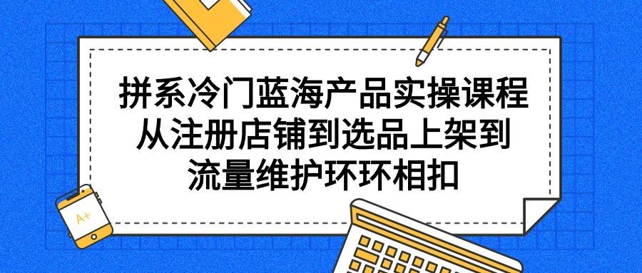 拼系冷门蓝海产品实操课程，从注册店铺到选品上架到流量维护环环相扣-涛哥资源