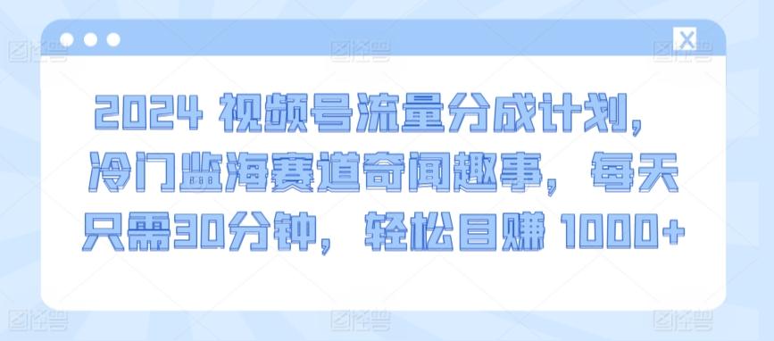 2024视频号流量分成计划，冷门监海赛道奇闻趣事，每天只需30分钟，轻松目赚 1000+-涛哥资源