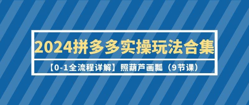 2024拼多多实操玩法合集【0-1全流程详解】照葫芦画瓢(9节课)-涛哥资源