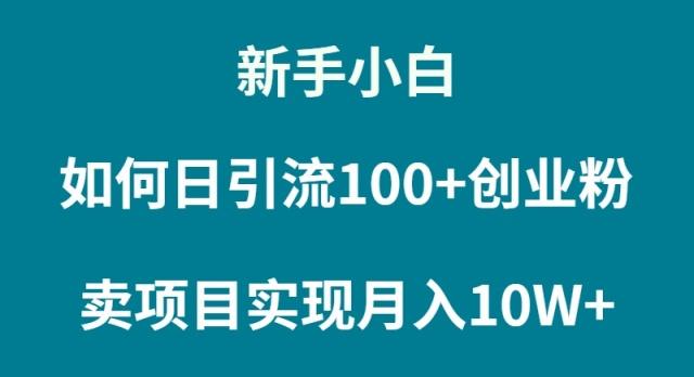 新手小白如何通过卖项目实现月入10W+-涛哥资源