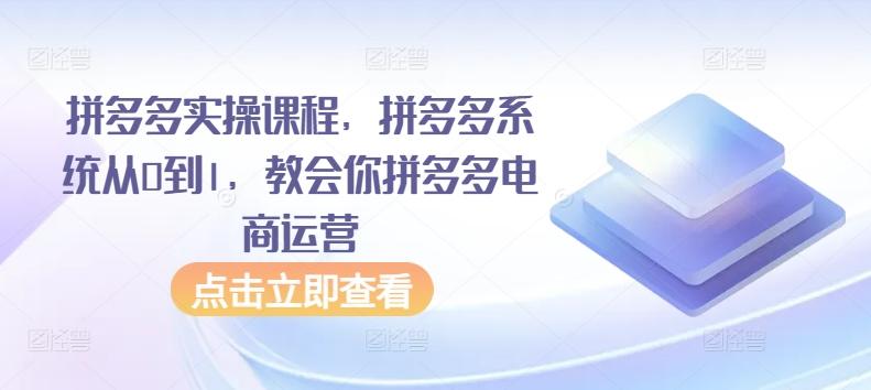 拼多多实操课程，拼多多系统从0到1，教会你拼多多电商运营-涛哥资源