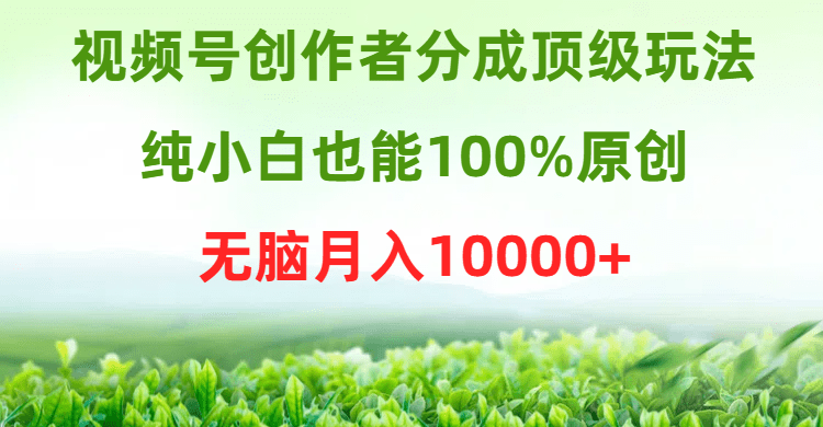 视频号创作者分成顶级玩法,纯小白也能100%原创,无脑月入10000+-涛哥资源
