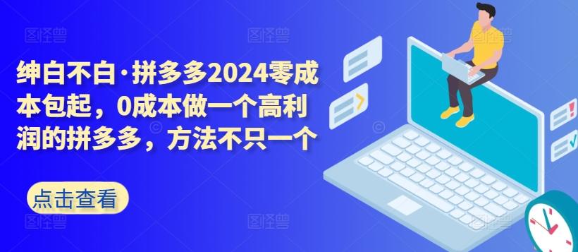 拼多多2024零成本包起，0成本做一个高利润的拼多多，方法不只一个-涛哥资源