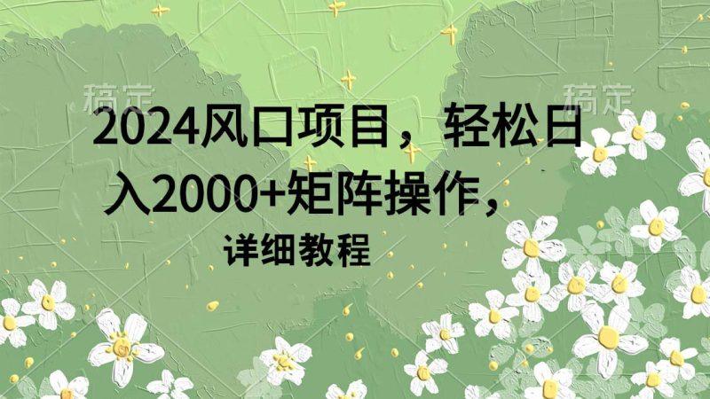 2024风口项目,轻松日入2000+矩阵操作,详细教程-涛哥资源