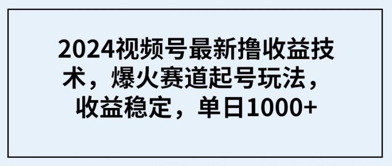 2024视频号最新撸收益技术,爆火赛道起号玩法,收益稳定,单日1000+-涛哥资源