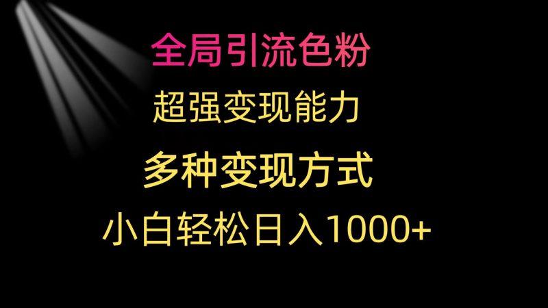 全局引流色粉 超强变现能力 多种变现方式 小白轻松日入1000+-涛哥资源