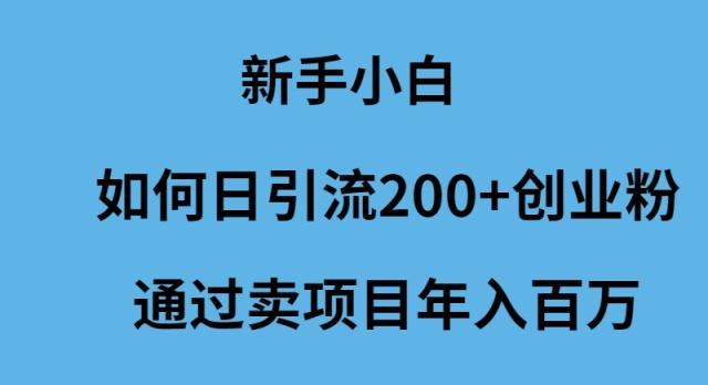 新手小白如何日引流200+创业粉通过卖项目年入百万-涛哥资源