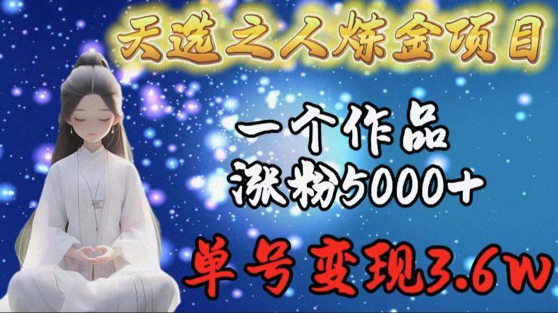 天选之人炼金项目，一个作品涨粉5000+，单号变现3.6w-涛哥资源
