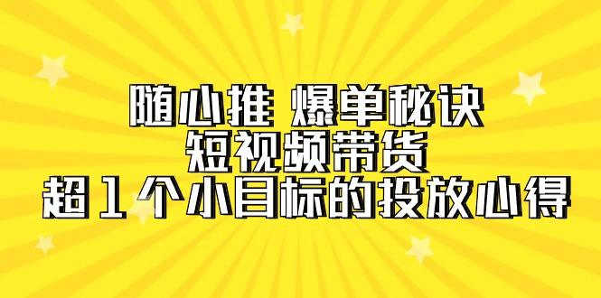 随心推 爆单秘诀，短视频带货-超1个小目标的投放心得（7节视频课）-涛哥资源