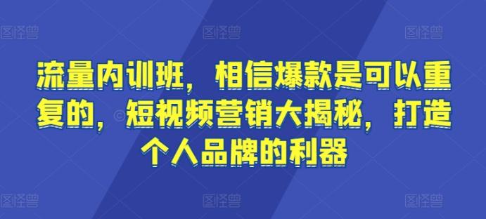 流量内训班,相信爆款是可以重复的,短视频营销大揭秘,打造个人品牌的利器-涛哥资源