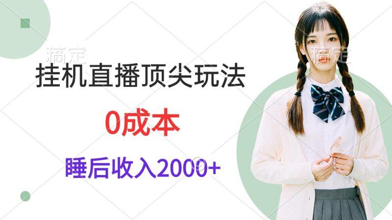 挂机直播顶尖玩法，睡后日收入2000+、0成本，视频教学-涛哥资源