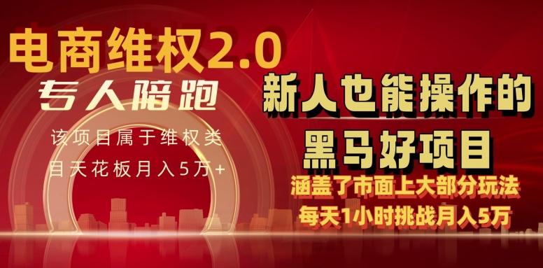 电商维权 4.0 如何做到月入 5 万+每天 1 小时新人也能快速上手【仅揭秘】-涛哥资源