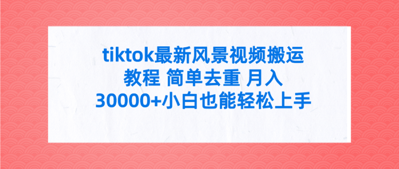 tiktok最新风景视频搬运教程 简单去重 月入30000+附全套工具-涛哥资源