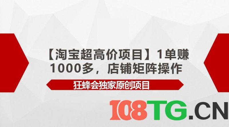 【淘宝超高价项目】1单赚1000多,店铺矩阵操作-涛哥资源