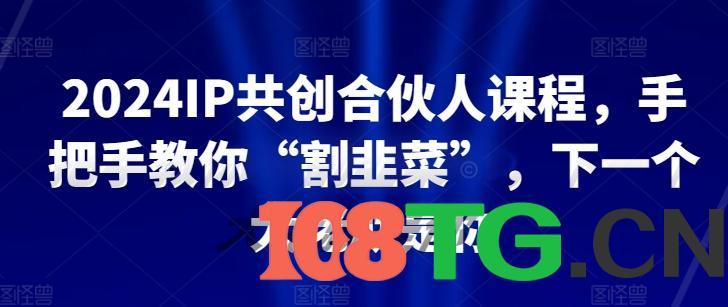 2024IP共创合伙人课程，手把手教你“割韭菜”，下一个大佬就是你-涛哥资源