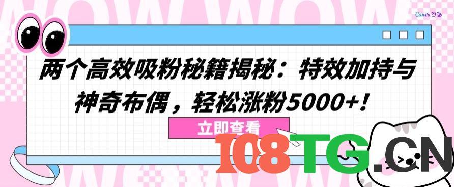 两个高效吸粉秘籍揭秘:特效加持与神奇布偶,轻松涨粉5000+-涛哥资源