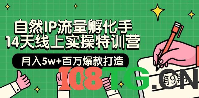 自然IP流量孵化手 14天线上实操特训营【第9期】月入5w+百万爆款打造 (74节)-涛哥资源