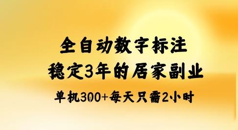 全自动数字标注，稳定3年的蓝海项目，居家也能矩阵开干的副业，单机日入3张+-涛哥资源