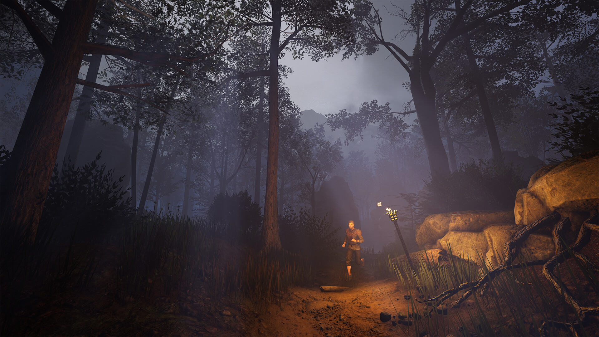 灰雨钢锋|豪华中文|V1.04+预购特典+全DLC-开放世界RPG|解压即撸|