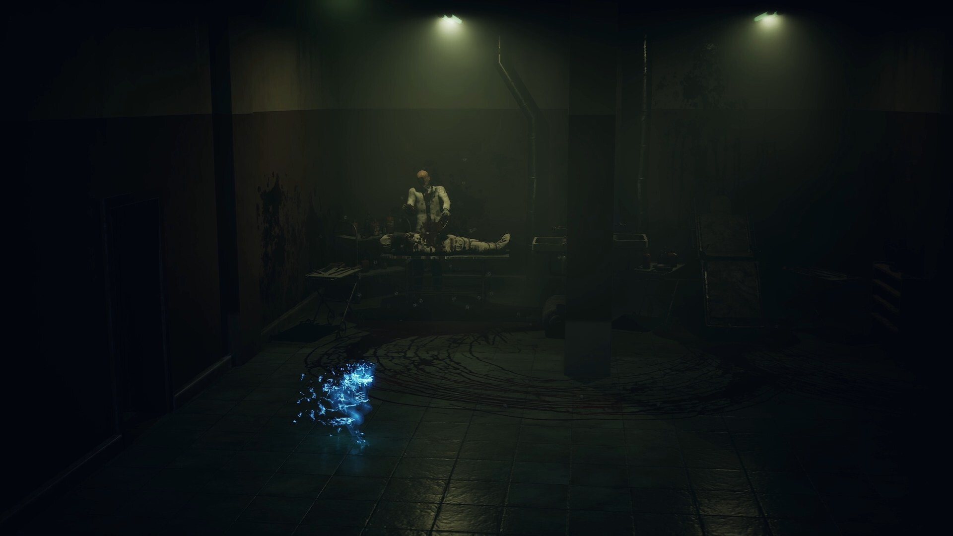 寂静之国的波斯菊|官方中文|Build.20986812|解压即撸|